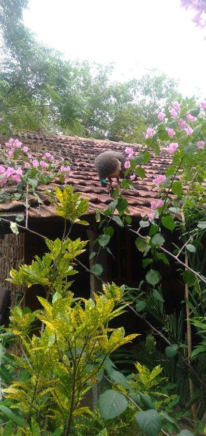Walkers Hostel ตรินโคมาลี ภายนอก รูปภาพ