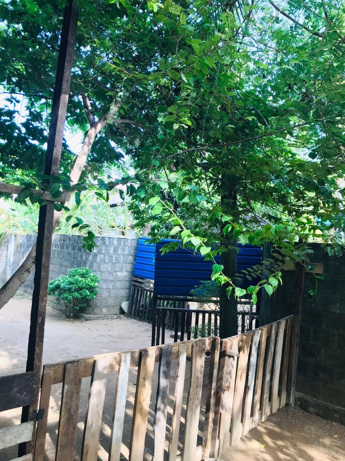 Walkers Hostel ตรินโคมาลี ภายนอก รูปภาพ