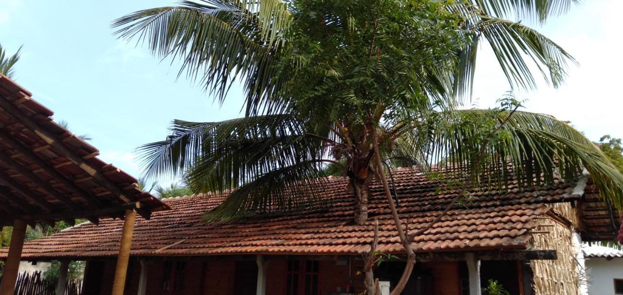 Walkers Hostel ตรินโคมาลี ภายนอก รูปภาพ