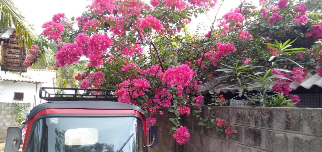 Walkers Hostel ตรินโคมาลี ภายนอก รูปภาพ